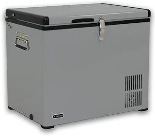 Whynter 45 Qt. Portable Refrigerator / Portable Freezer for Travel - Chest Freezer / Fridge for Car, Camping, RVs & More, -8°F to 50°F Temperature Range, AC 110V/ DC 12V, FM-45G, Gray product image