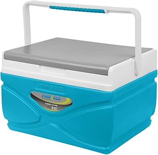 Picnic Cooler – 4.5 Liter Hard Cooler – Coolbox Keeps Contents Cool for 48 Hours – BPA Free Outdoor Cooler – Portable Cooler for Picnics, Grill, Camping (Orange) product image