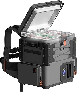 LiTHELi FrozenPack Wild 12V Car Refrigerator & Portable Electric Cooler, 20L/21QT Backpack Design, -4~68℉ Travel Fridge Freezer for Camping, Road Trips, RV, Boat&Beach（Without Battery） product image