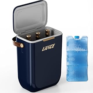 12QT Insulated Cooler with Ice Block, Portable Hard Cooler Small Ice Chest for Camping Picnic, 4 Wine Bottle Carrier Great Gift for Wine Lovers product image