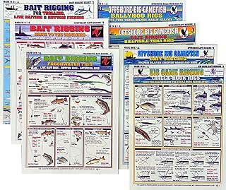 Bait Rigging Chart Set - Waterproof Quick Reference Fishing Guide - (Freshwater, Saltwater, and Big Game Rigs) - Double-Sided & Easy to Read - Great Gift for Beginners product image