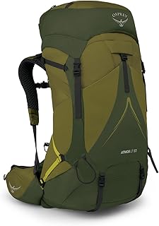 Osprey Atmos AG LT 65L Men's Backpacking Backpack, Scenic Valley/Green Peppercorn, L/XL product image