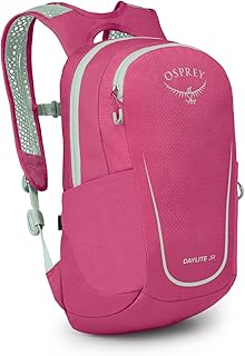 Osprey Daylite Jr. Kids' Commuter Backpack, Hotspot Pink/Frosty Mint product image