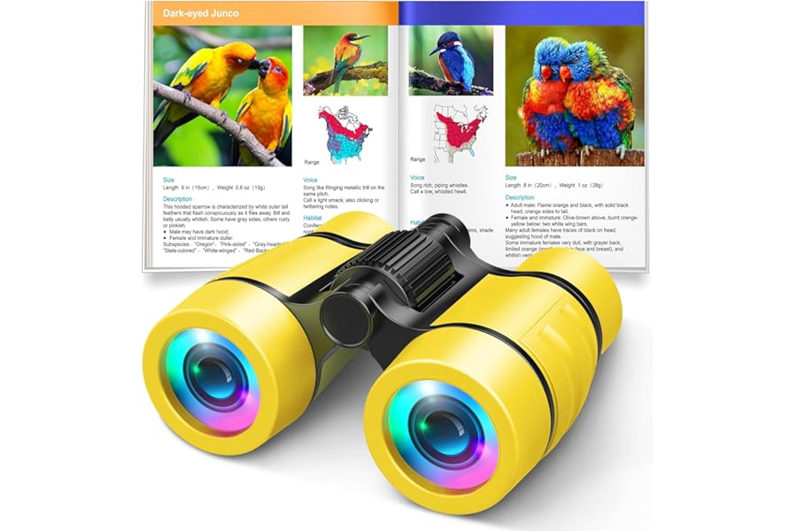 Toys for 3-7 Year Old Girl Boy: LET'S GO! Bird Watching Binoculars for Kids Ages 3 4 5 6 7 Year Old Girls Boys Outside Learning Toy for Kid Christmas Preschool Gift Toddler Binoculars Toy Stuffers product image