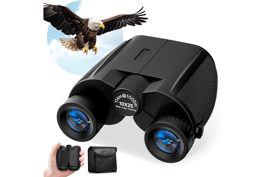 Leacco 10x25 Compact Binoculars for Adults and Kids, Large View Waterproof Small Binoculars with Low Light Vision BAK4 Prism FMC Lens for Cruise Ship Bird Watching Travel Hunting, Black product image