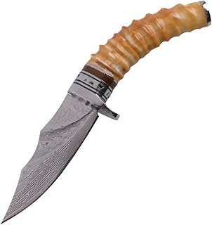 Damascus Outdoor Knife Tactical karambit Survival Hunting Knife(8.11") product image