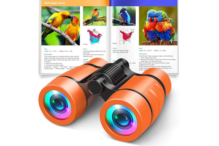 Pankoo 20x56 Binoculars for Adults High Powered - Large View Waterproof Binoculars with Clear Low Light Vision - Compact Binocular Essentials for Hunting Camping Cruise Travel Bird Watching Sports product image